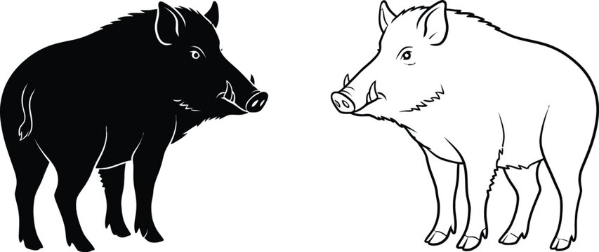 Wild Boars with Black Silhouette and Outline Sketch Depicting Feral Pigs in a Minimalist Vector Style