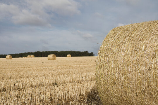 bales of hay ,Strohballen ,Heuballen ,Heu ,Stroh ,field ,harvest ,summer ,straw ,farmland , blue cloudy sky,  golden ,beautiful ,freshly ,countryside ,haystacks ,harvesting