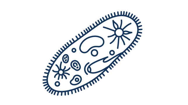 Paramecium Microorganism Line Art Vector