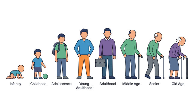 Human life cycle illustration from infancy to old age