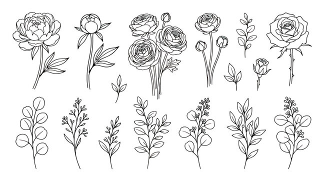 Vintage botanical line art collection, hand drawn floral sketches of roses and peonies, black and white wildflower vector set for wedding invitations
