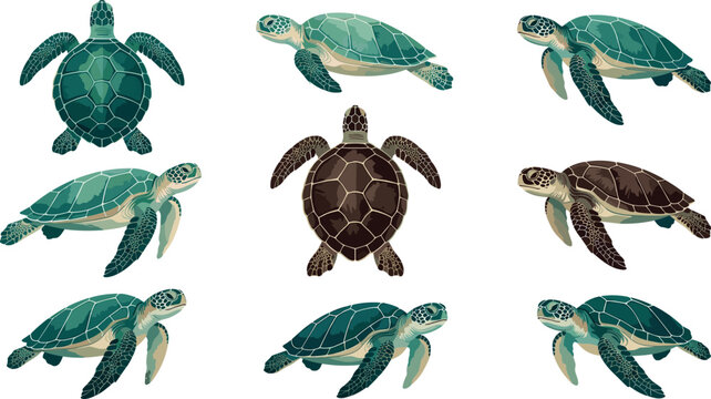 Sea Turtle Vector Set Featuring Green and Brown Marine Turtles in Various Swimming Poses and Shell Textures for Ocean Wildlife Conservation Designs