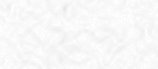 white spiral area location and topographic map discovery. vector topo map design White background with topography world grid wave curve map geographic line texture. © haven lklkj11