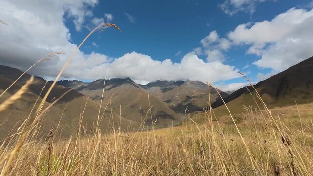 4K timelapse video of fluffy white clouds gathering over high mountain peaks with golden dry grass in the foreground.