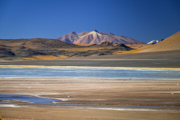 Atacama Desert Chile Lagunas Salares © Gustavo