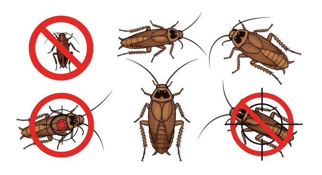 Pest control concept vector illustrations showing cockroaches with red ban signs and crosshair targets for extermination.