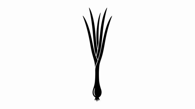 Black eyelash extensions on tip.