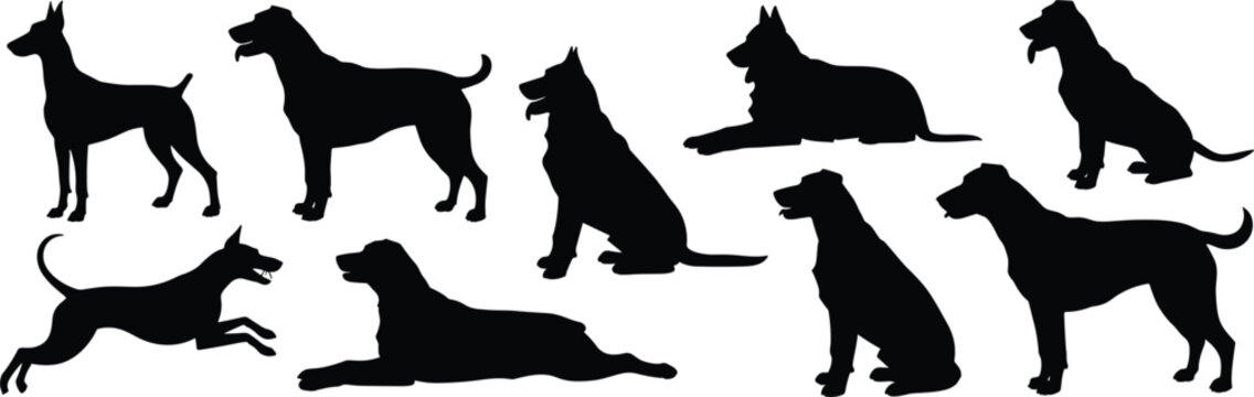 Collection of black dog silhouettes in various poses including sitting, standing, and running on a white background, set
