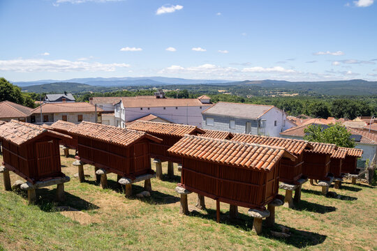Panoramic view of the large architectural complex of traditional Galician horreos, historic stone and wooden granaries built on stilts on a green hillside in A Merca, Spain.