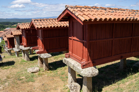 Panoramic view of the large architectural complex of traditional Galician horreos, historic stone and wooden granaries built on stilts on a green hillside in A Merca, Spain.