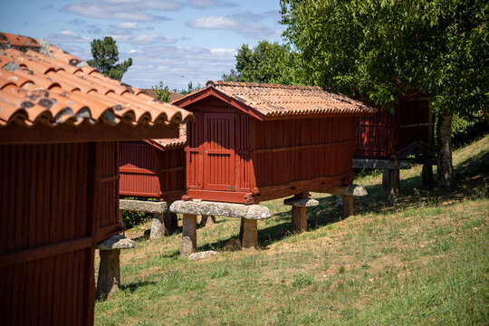 Panoramic view of the large architectural complex of traditional Galician horreos, historic stone and wooden granaries built on stilts on a green hillside in A Merca, Spain.