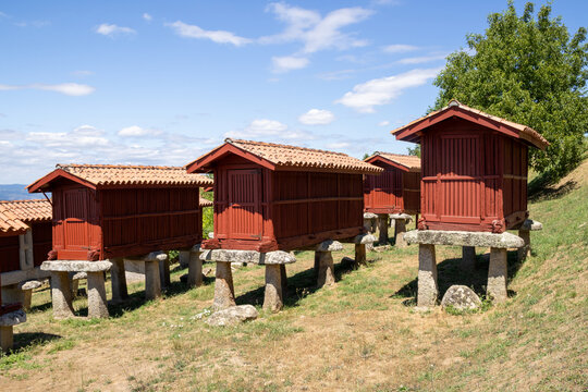 Panoramic view of the large architectural complex of traditional Galician horreos, historic stone and wooden granaries built on stilts on a green hillside in A Merca, Spain.