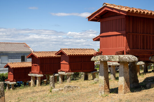 Group of traditional Galician horreos, historic stone and wooden granaries built on stilts for grain storage, in the village of A Merca, Ourense, Galicia, Spain.