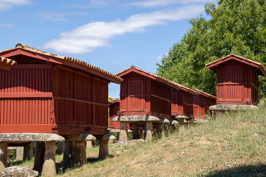 Group of traditional Galician horreos, historic stone and wooden granaries built on stilts for grain storage, in the village of A Merca, Ourense, Galicia, Spain.