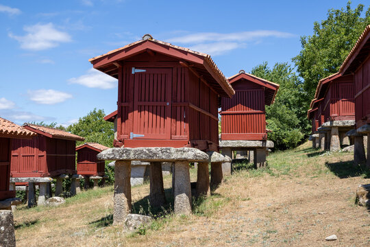 Group of traditional Galician horreos, historic stone and wooden granaries built on stilts for grain storage, in the village of A Merca, Ourense, Galicia, Spain.