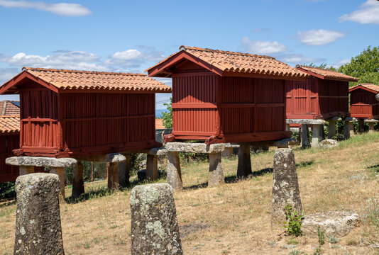 Group of traditional Galician horreos, historic stone and wooden granaries built on stilts for grain storage, in the village of A Merca, Ourense, Galicia, Spain.