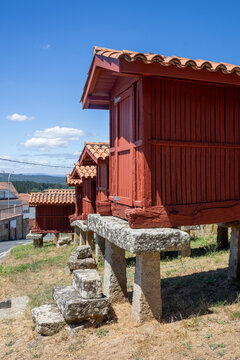 Group of traditional Galician horreos, historic stone and wooden granaries built on stilts for grain storage, in the village of A Merca, Ourense, Galicia, Spain.