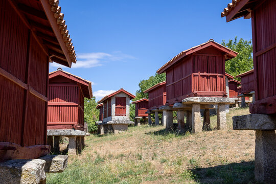 Group of traditional Galician horreos, historic stone and wooden granaries built on stilts for grain storage, in the village of A Merca, Ourense, Galicia, Spain.