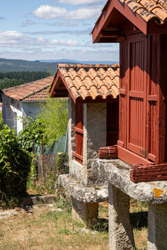 Panoramic view of the large architectural complex of traditional Galician horreos, historic stone and wooden granaries built on stilts on a green hillside in A Merca, Spain.