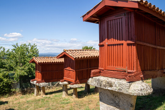 Panoramic view of the large architectural complex of traditional Galician horreos, historic stone and wooden granaries built on stilts on a green hillside in A Merca, Spain.