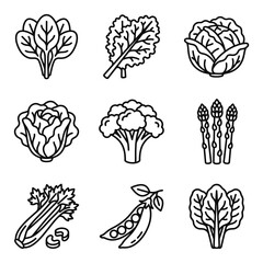 Fototapeta premium Healthy Vegetables Icon Set: Spinach, Kale, Cabbage, Broccoli, Asparagus, Celery, Peas