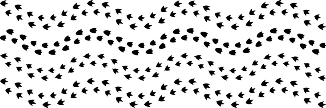 Duck footprint track, goose paw foot print