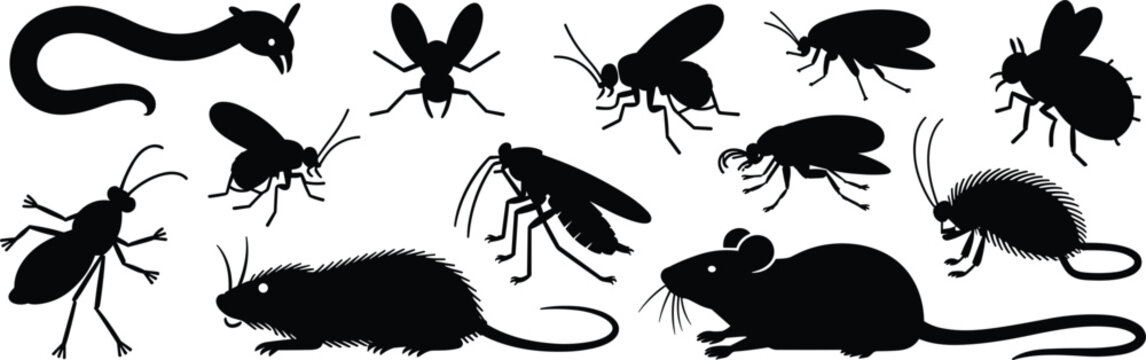 Set of black silhouettes depicting various household pests including mice, rats, cockroaches, flies, and other insects on white background