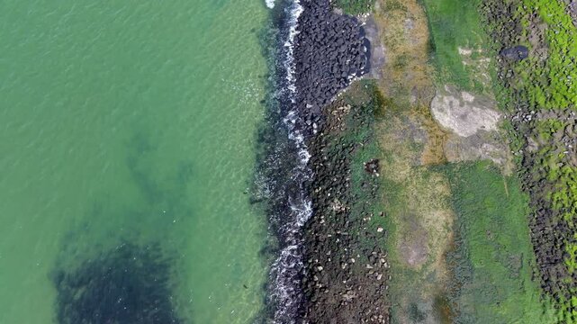 Aerial top down shot of clear green sea water with gentle waves crashing onto a rocky volcanic breakwater and a mossy grassy coastline on a bright sunny day