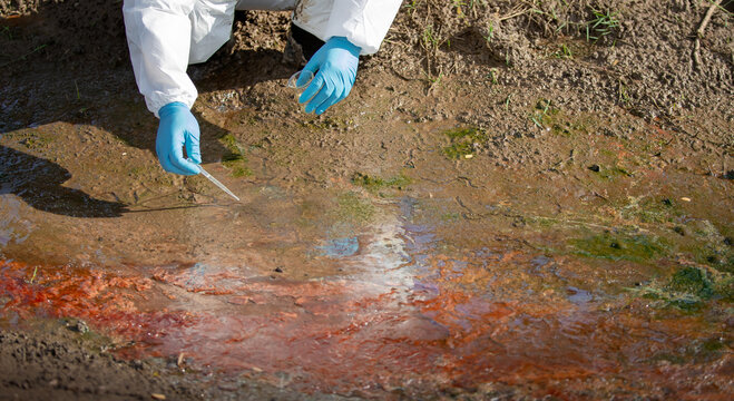 Environmental scientist analyzing water samples using a flask beside polluted soil in a natural setting