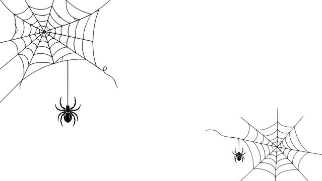 Halloween spiderwebs and spiders illustration on white background