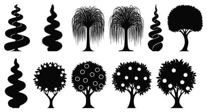 Collection Of Tree Silhouettes In Black And White Vector Illustration Silhouette