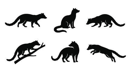 Fototapeta premium Black silhouette of a civet climbing