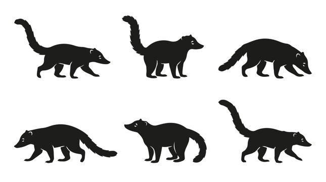 Black coati walking on white background, side profile silhouette