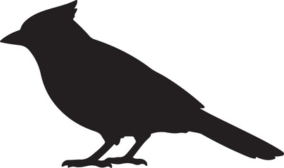 Fototapeta premium Black Crow Bird Silhouette Vector Illustration Isolated on White Background with Feathered Wildlife Design Icon