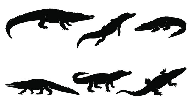 Black silhouette of a crocodile walking on a white background