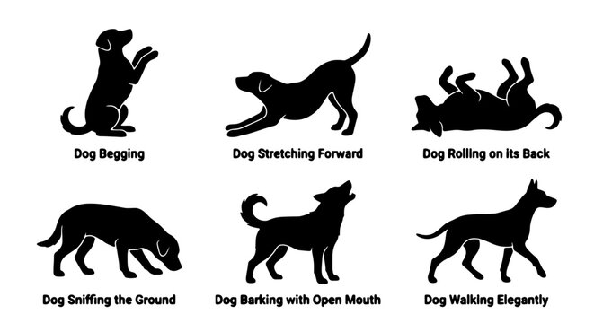 Dog Silhouettes Collection: Begging, Stretching, Rolling, Sniffing, Barking, Walking Poses, Vector Art for Pet Lovers and Animal Graphics