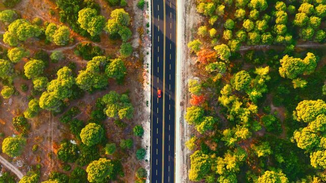 4K drone footage of a road cutting through dense green forest