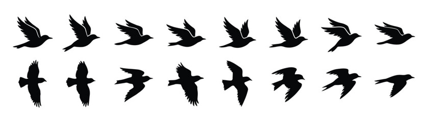 Naklejka premium Flying Bird Silhouette Collection Set with Different Flight Poses Isolated Black Vector Icons