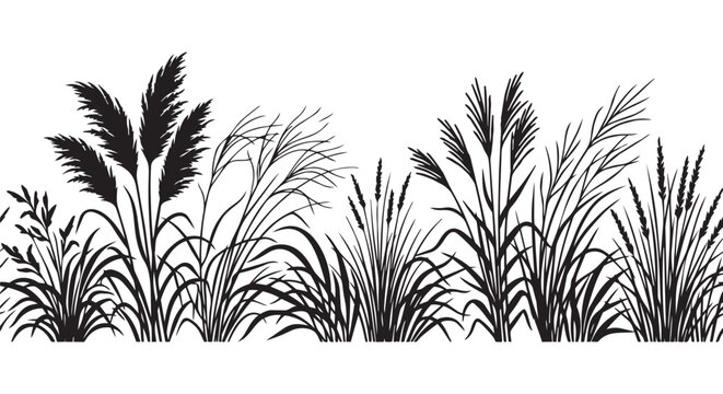 Pampas Grass Silhouette Border Vector Design Art