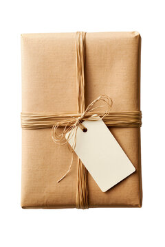 Isolated rustic brown kraft paper gift or package with blank tag and natural raffia bow