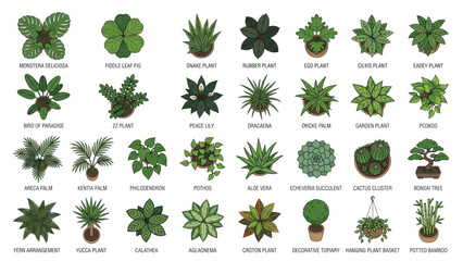 Indoor and Decorative Plant Top View Icon Set for Interior Design and Landscape Architecture © ManojHashan