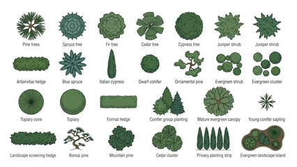 Fototapeta premium Evergreen and Conifer Tree Top View Icon Set for Landscape Architecture and Site Planning