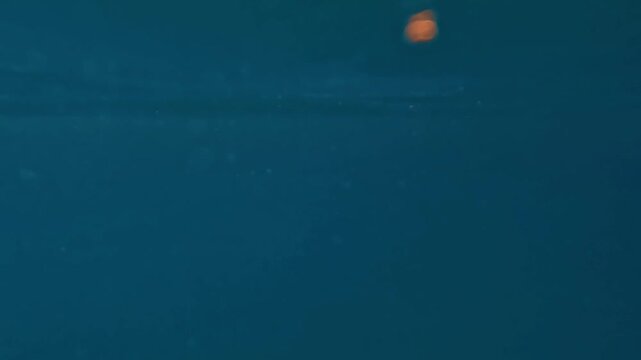 V&iacute;deo abstracto de la superficie del mar con agua azul oscuro, movimiento suave y peque&ntilde;os reflejos luminosos sobre el agua. La escena funciona como textura natural marina, con una est&eacute;tica minimalist