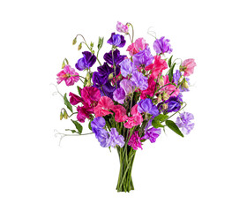 Obraz premium Sweet pea flower bouquet isolated on white background with vibrant purple and pink blooms