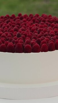 Vertical video. Round cake decorated with fresh raspberries at an outdoor celebration. Wedding day