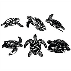 Sea turtle vector silhouette set, black and white marine reptiles collection isolated on white background © Dipto