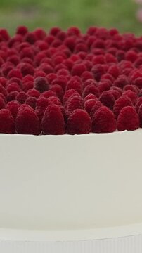 Vertical video. Luxury raspberry wedding cake on a dessert table during an outdoor wedding reception.