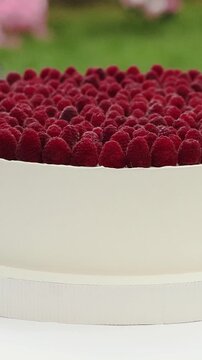 Vertical video. Close-up of a round raspberry wedding cake served at an elegant outdoor ceremony.