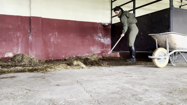 Equestrian stable worker cleaning horse stall