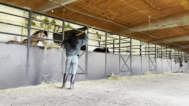 Worker cleaning stable while horses watch